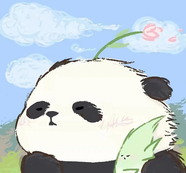 Avatar vô tri gấu trúc