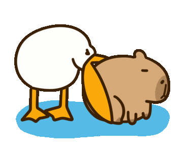 gif-capybara-de-thuong-13