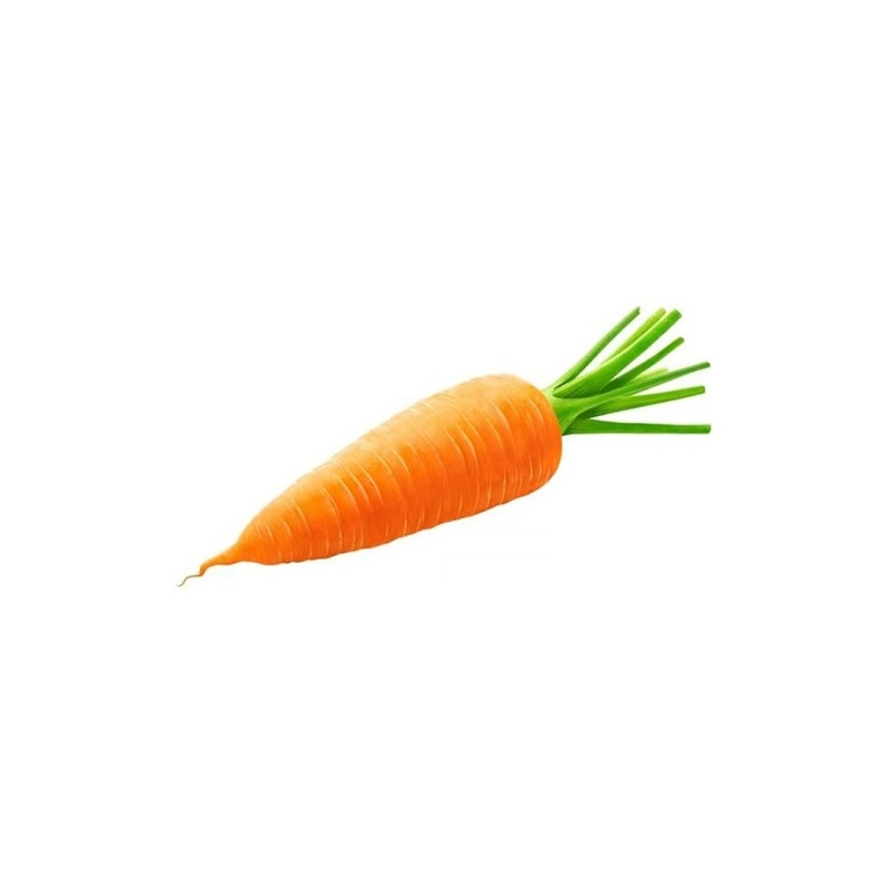 ảnh củ cà rốt