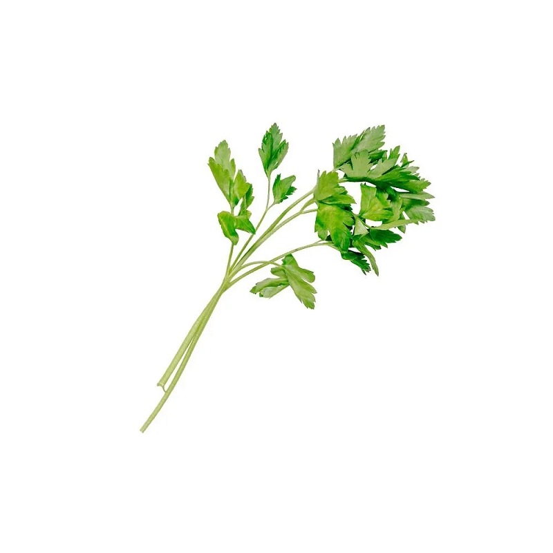 ảnh nhánh cần tây