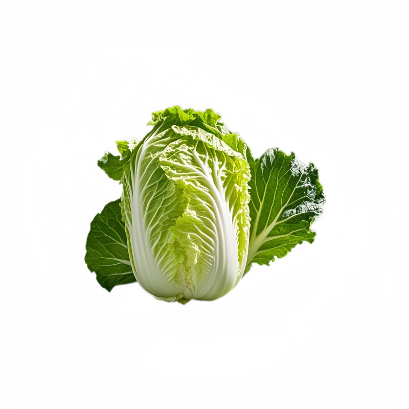 ảnh cây cải bao