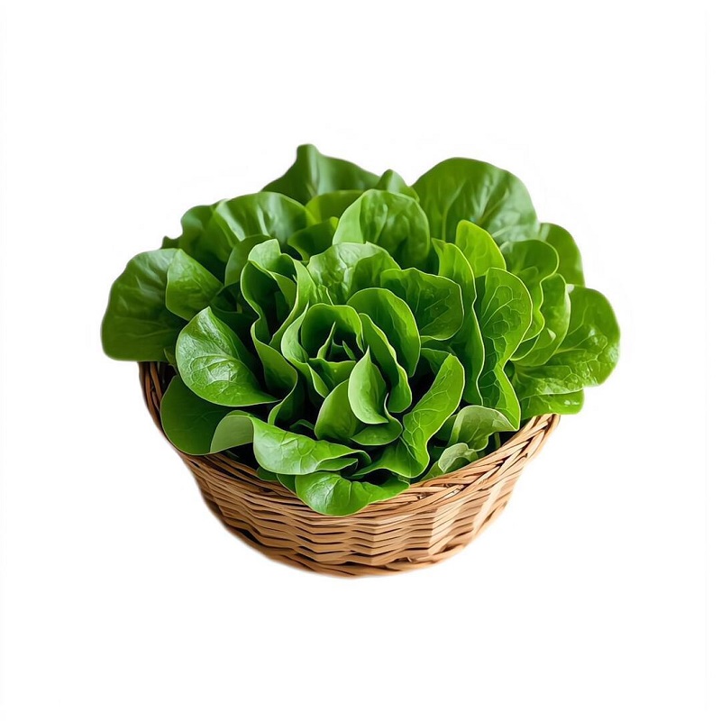 ảnh rổ rau cải