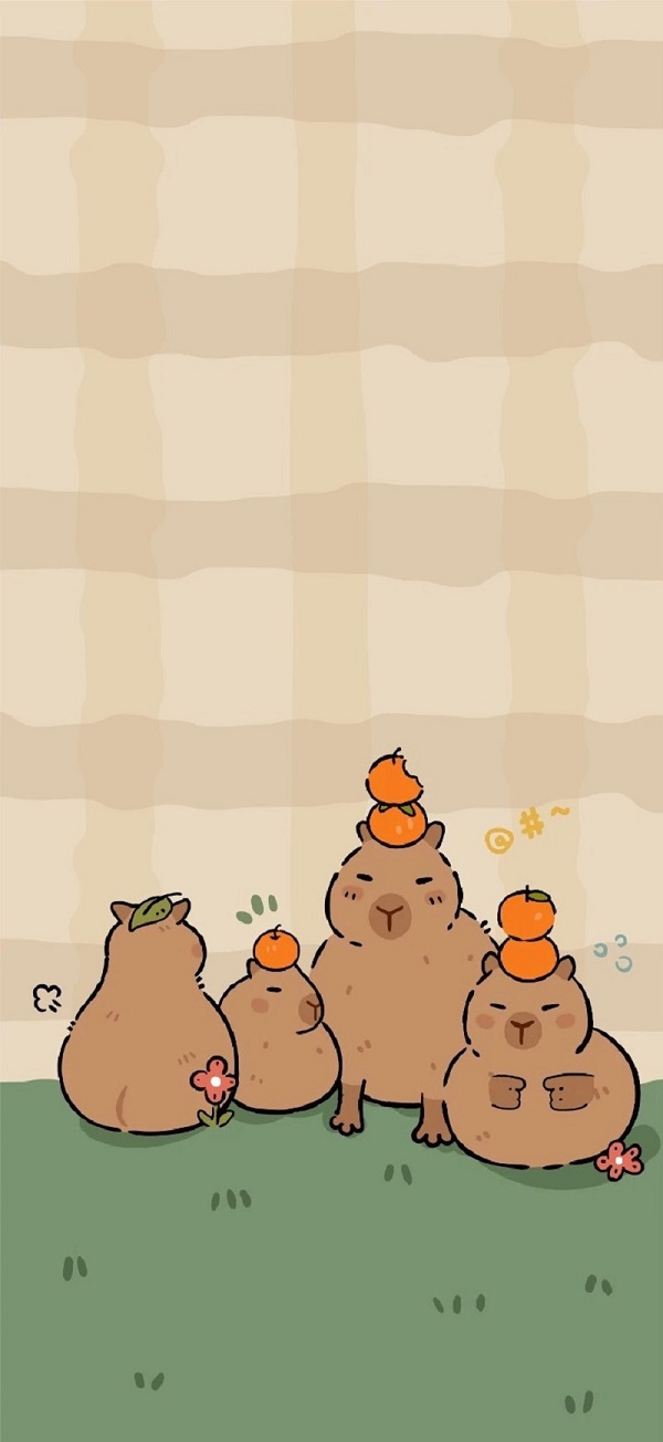 Hình nền Capybara cho iphone 1