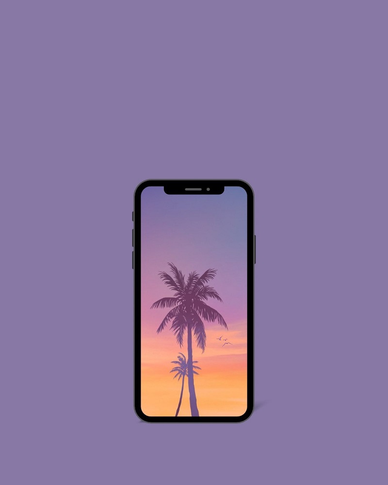 hình nền iphone xs max mẫu 12