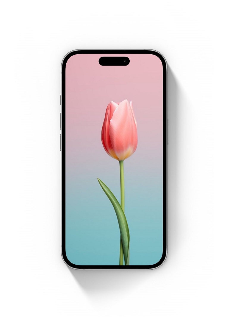 hình nền iphone xs max mẫu 4