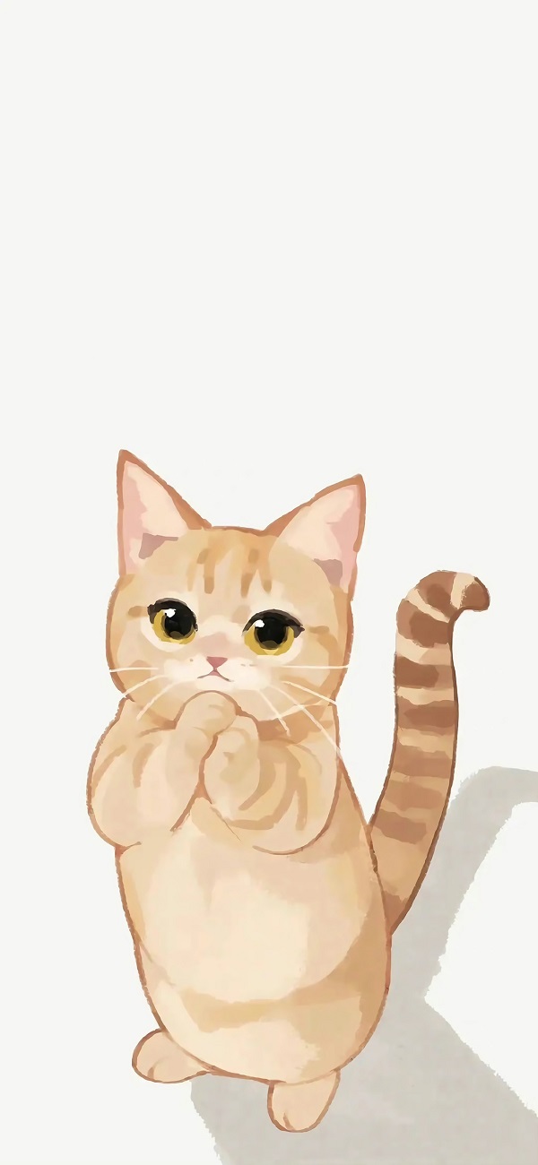 hình nền màu trắng hình con mèo