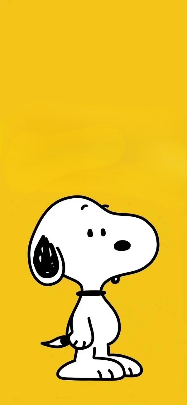 hình nền màu vàng cute hình chú chó