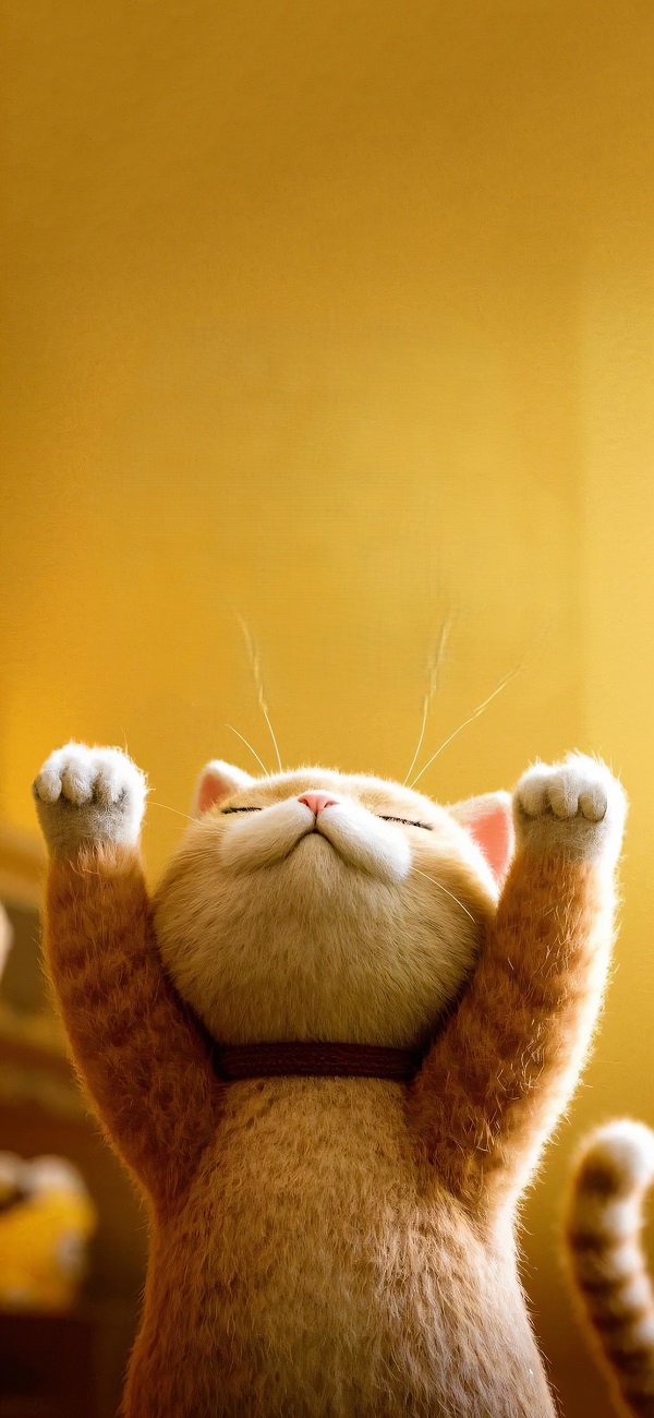 hình nền màu vàng cute hình chú mèo vàng dơ hay tay lên cao