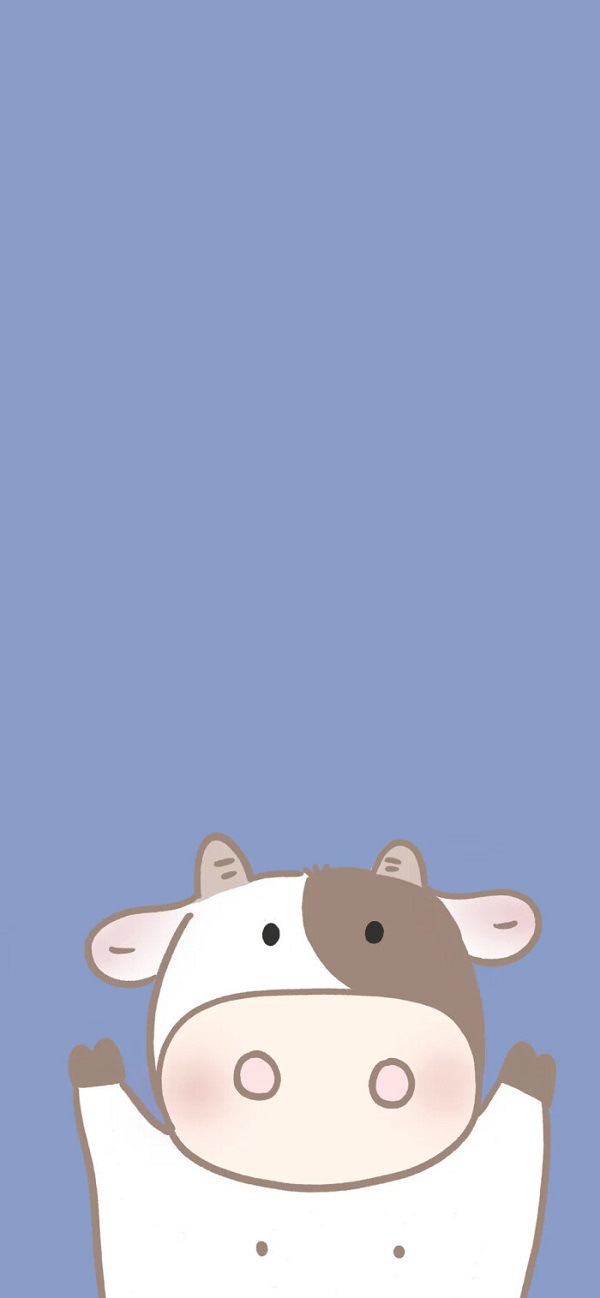 hình nền màu xanh dương cute​ hình chú bò sữa