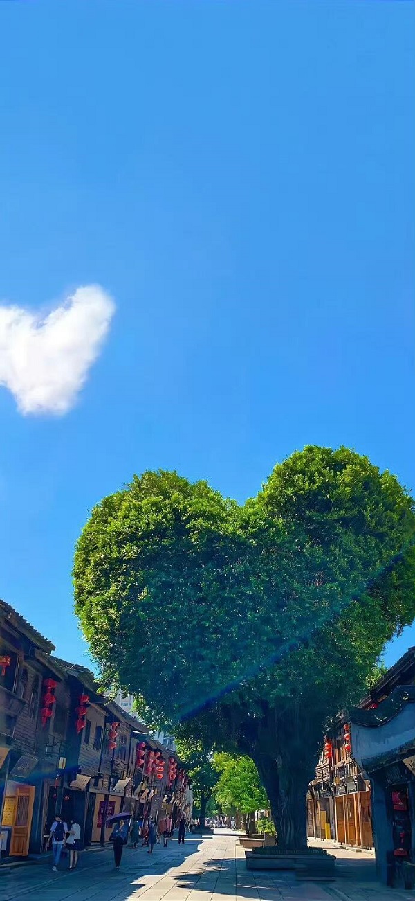 hình nền màu xanh lá cây có hình trái tim màu xanh