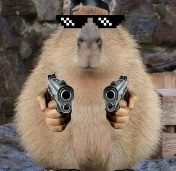 Cười "Bể Bụng" với bộ sưu tập Meme Capybara hài hước