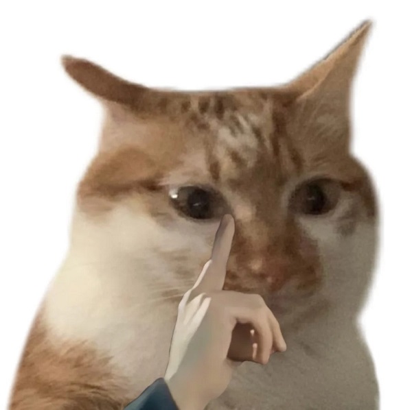 Meme mèo bựa sờ mũi