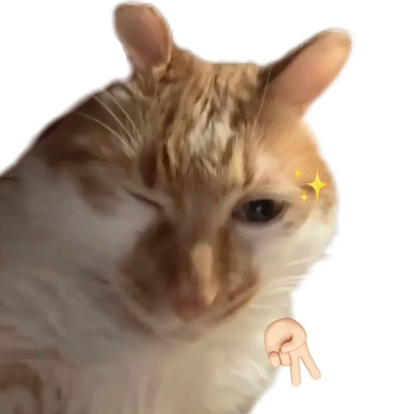 Meme mèo bựa hi