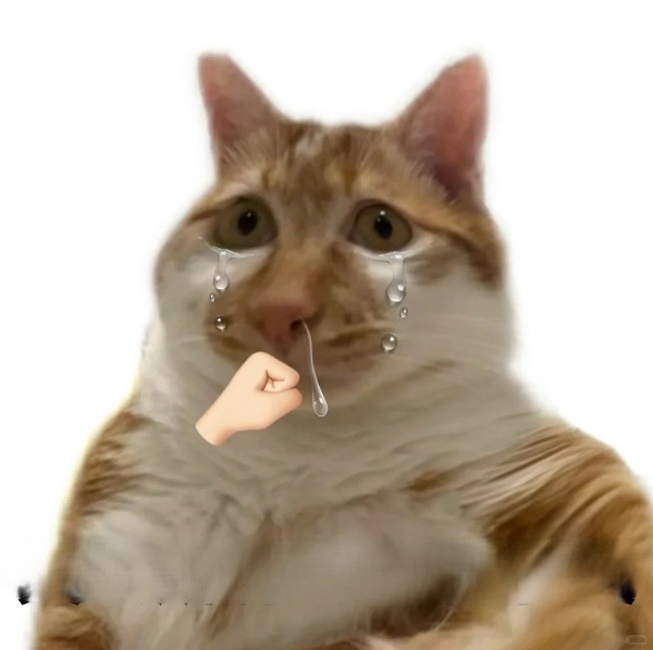Meme mèo bựa bị đấm chảy nước mắt, nước mũi