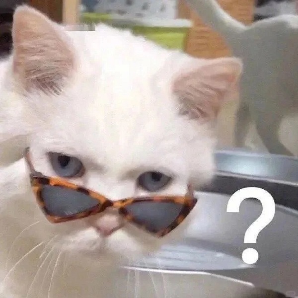Meme mèo bựa đeo kính hỏi chấm