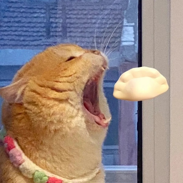 Meme mèo bựa há mồm ăn bánh bao