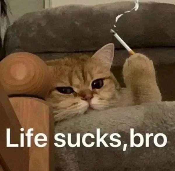Meme mèo bựa cầm điếu thuốc