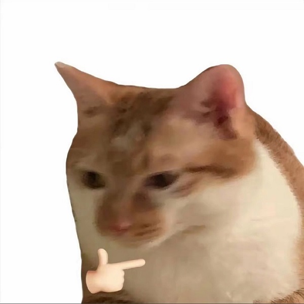 Meme mèo bựa men