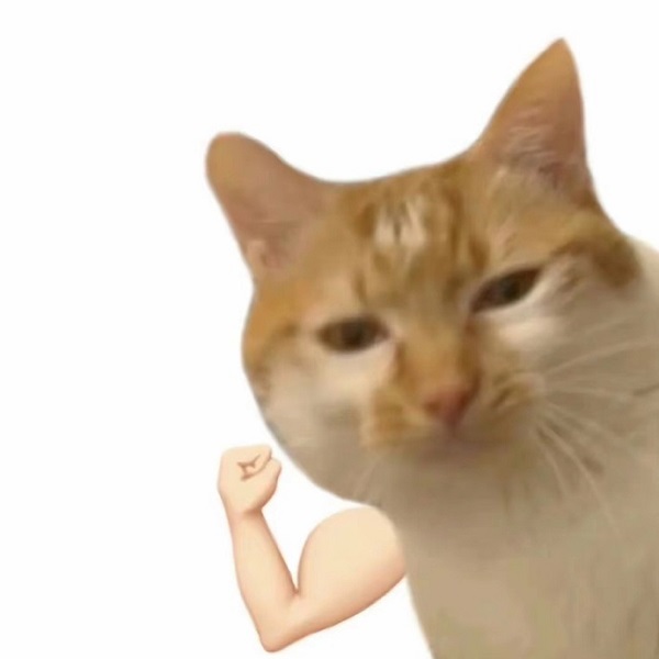 Meme mèo bựa cố lên