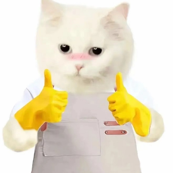 Meme mèo bựa like