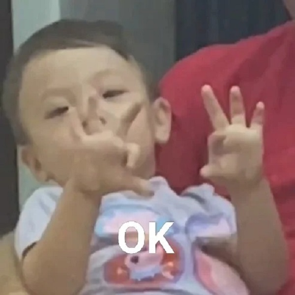 meme ok em bé giơ 2 tay
