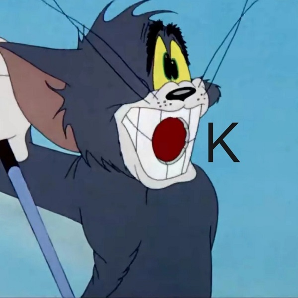 meme ok mèo tom