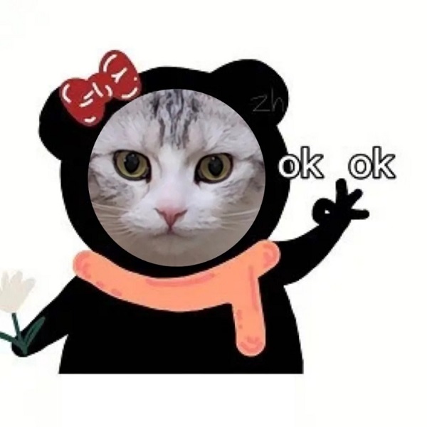 Tổng hợp 106+ Meme ok hay ho nhất đang hot trên MXH