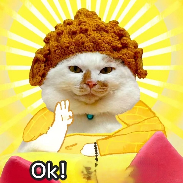 meme ok mèo phật