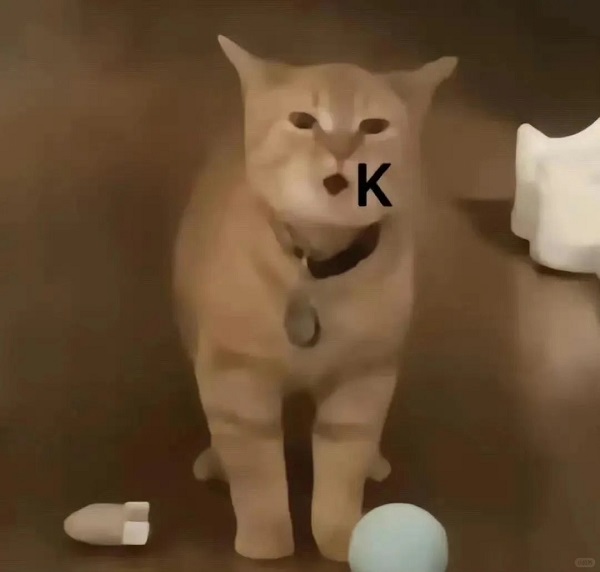meme ok mèo bựa