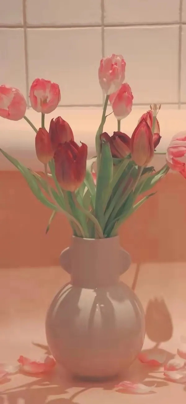 hình nền hoa tulip cho điện thoại​ 4