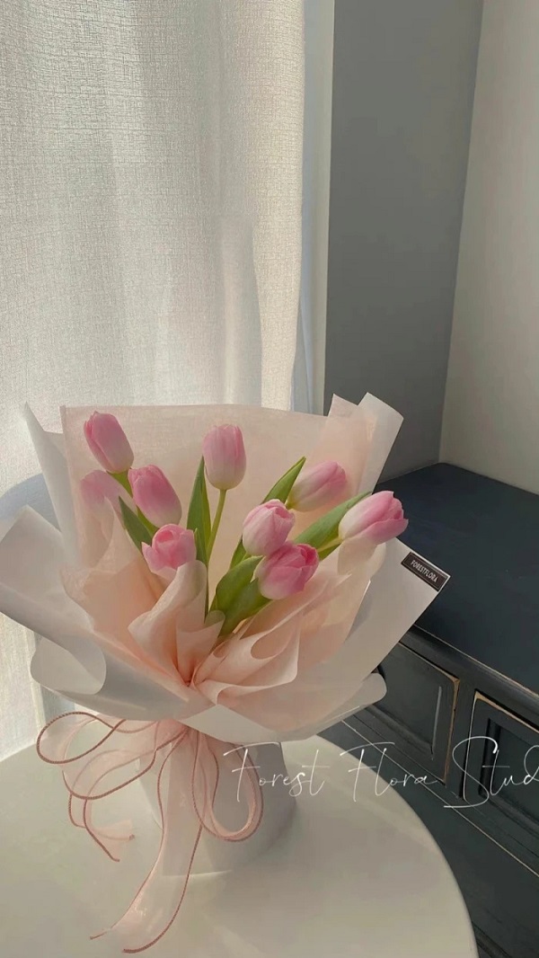 hình nền hoa tulip cho điện thoại​ 6