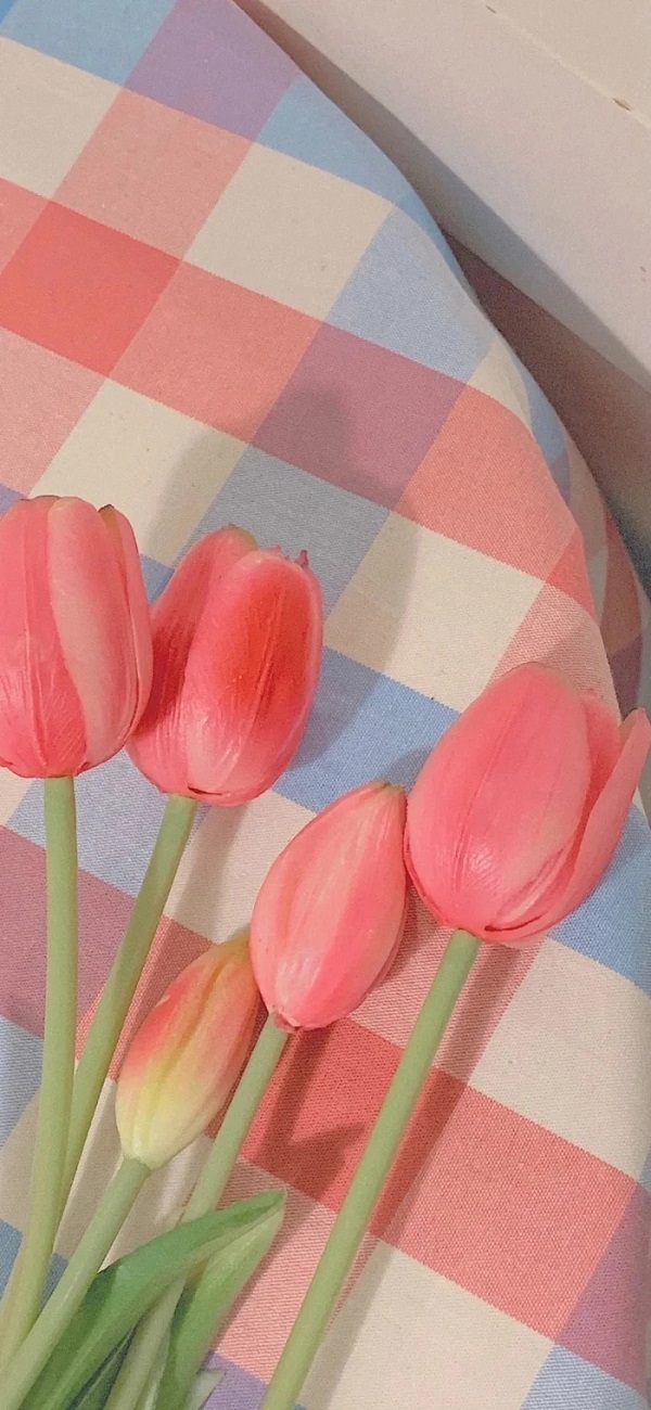 hình nền hoa tulip đẹp​ 3