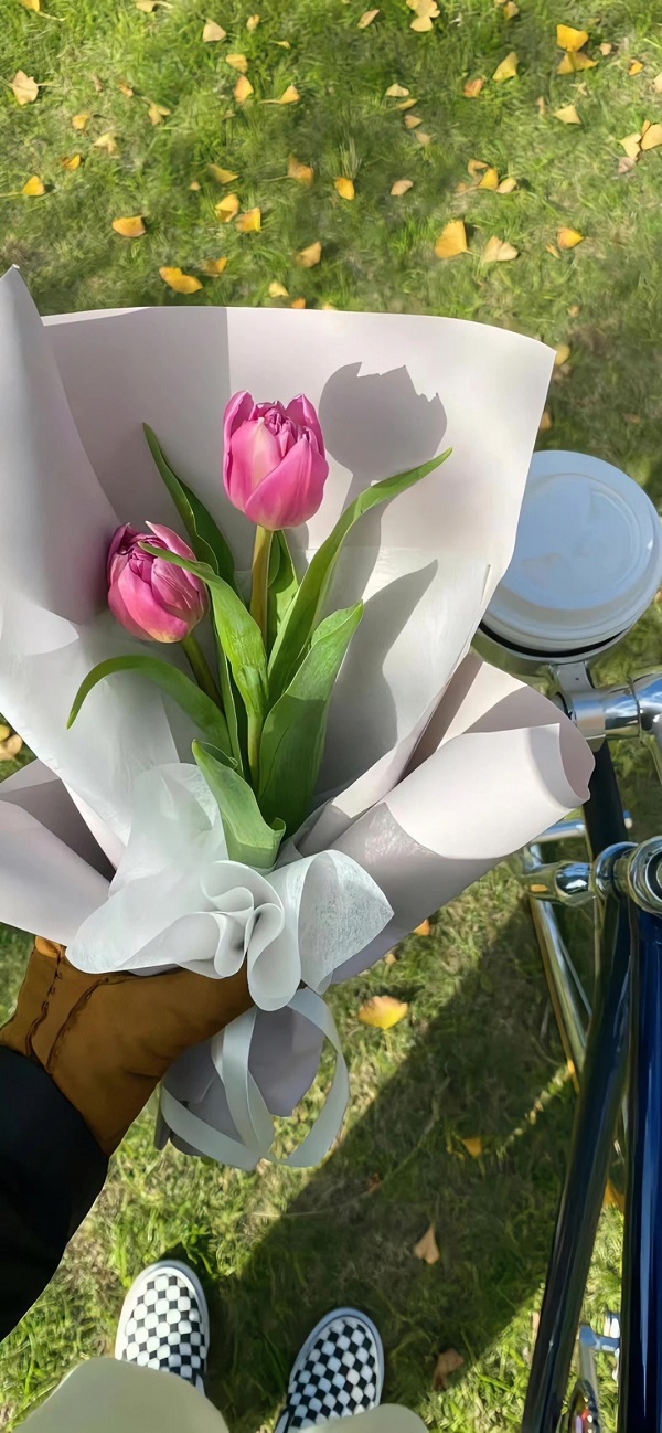 hình nền hoa tulip​ 6