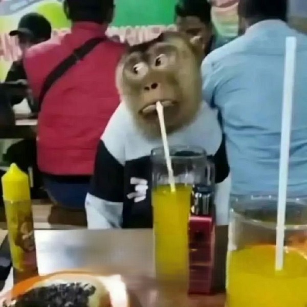 Khỉ meme 9