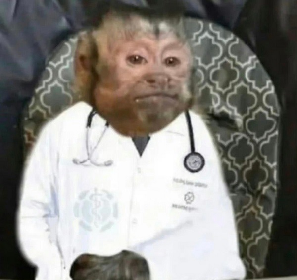 Khỉ meme 25
