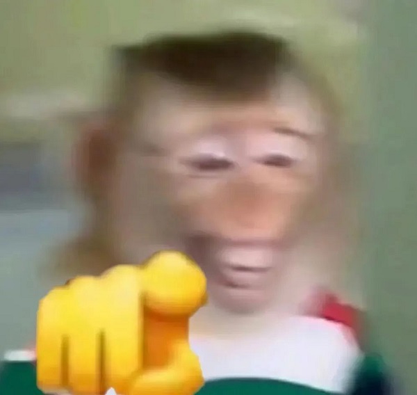 Khỉ meme 4