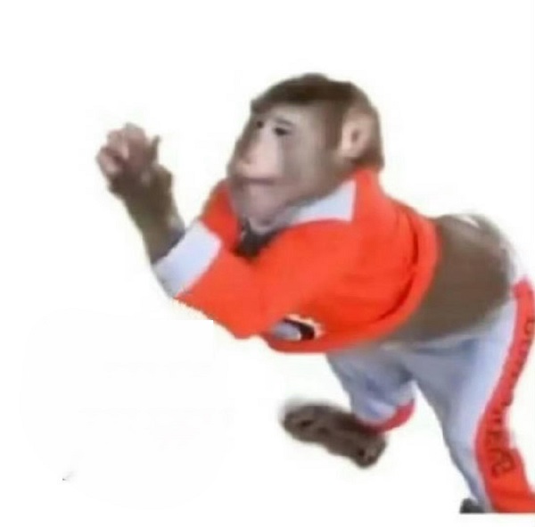 Khỉ meme 5