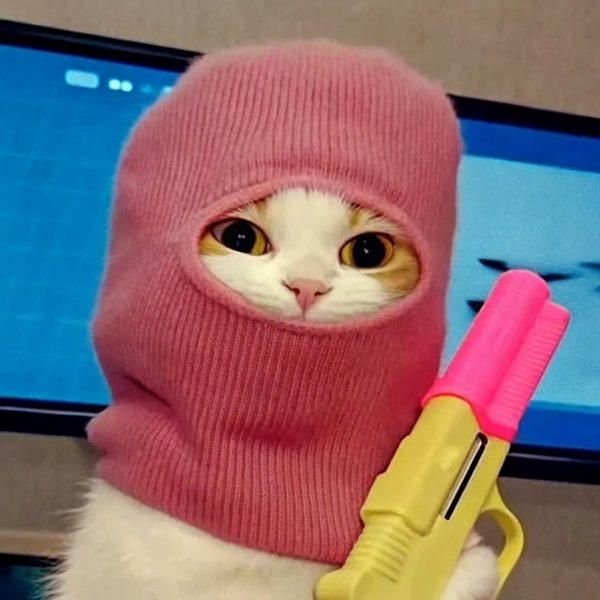  meme ê 7