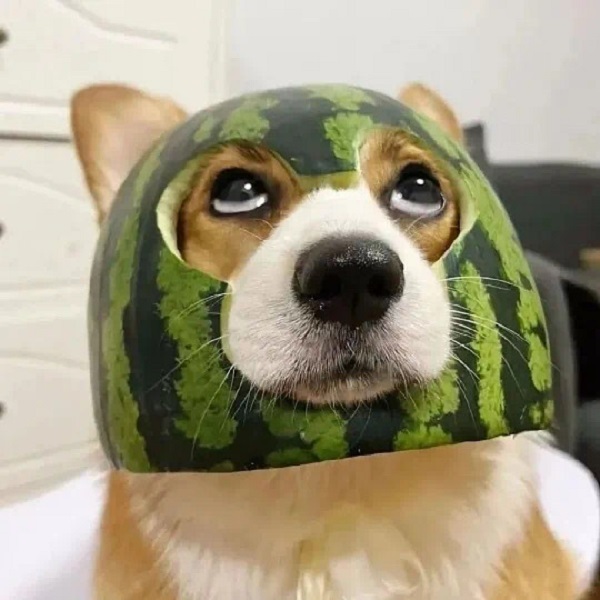  meme ê 9