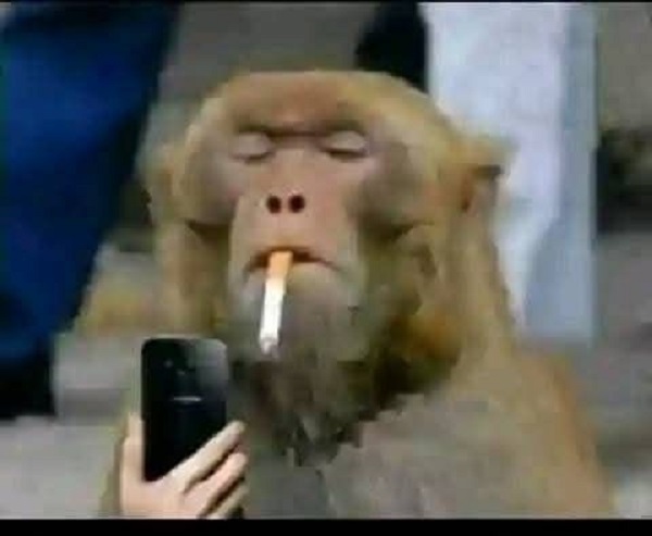 Meme hút thuốc 17