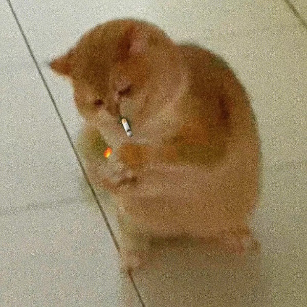 Meme hút thuốc 4