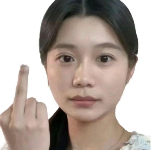 Meme ngón giữa 12