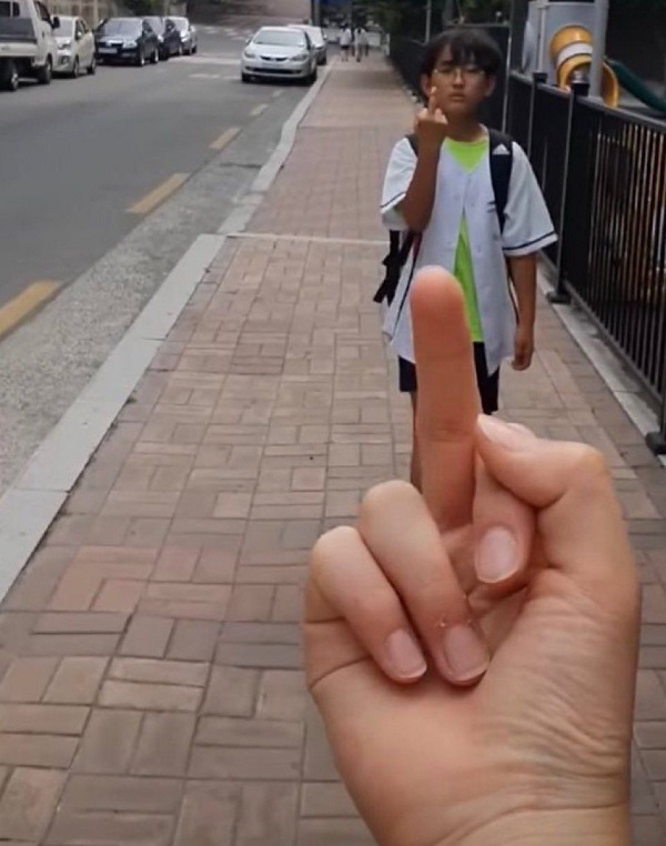 Meme ngón giữa 29