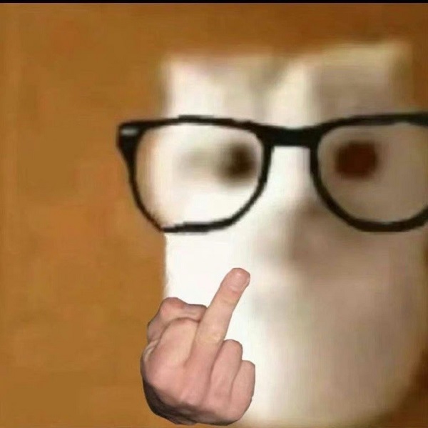 Meme ngón giữa 5